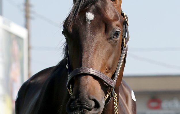 Clement 2